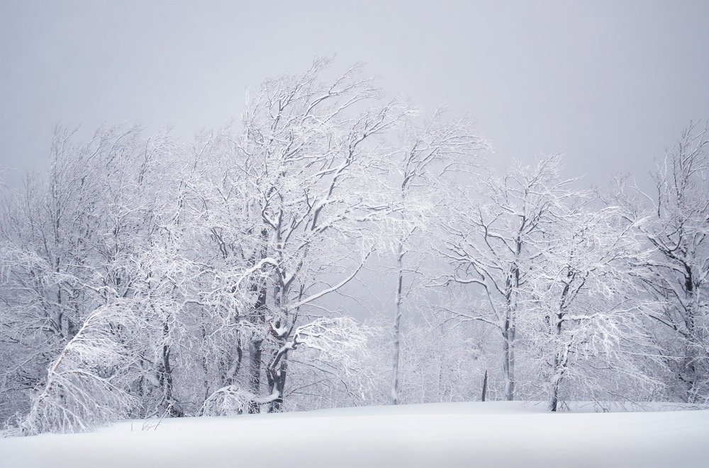 Photograph by Людмила Сиденко