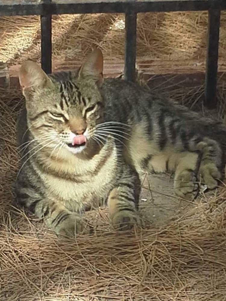 Photograph by Mónica Silva