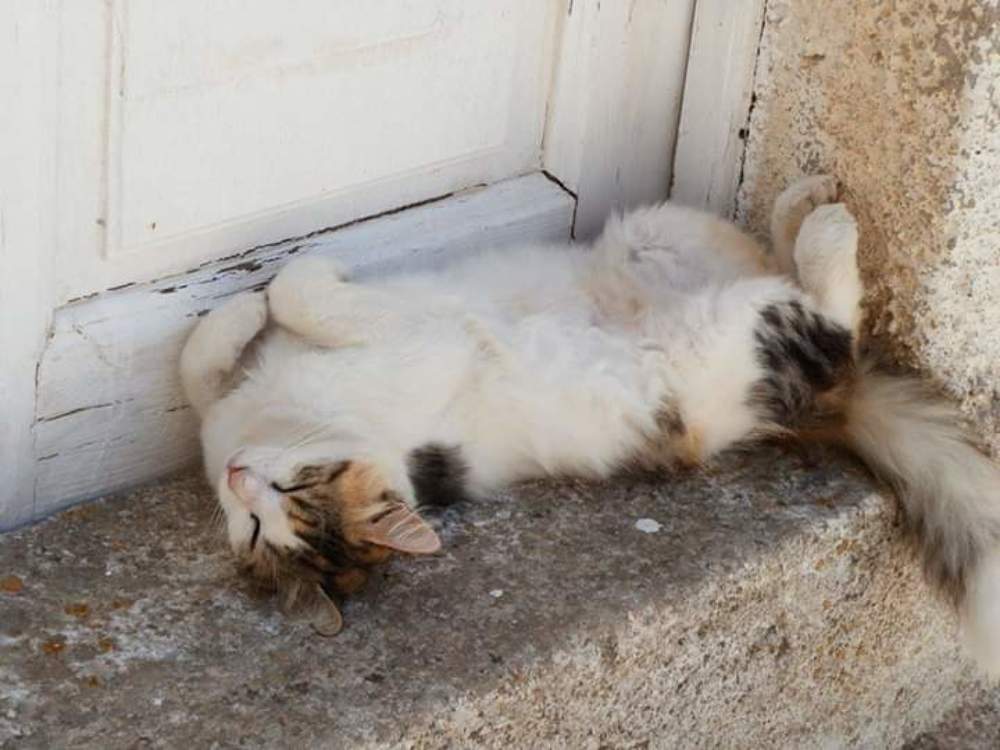 Photograph by Mónica Silva