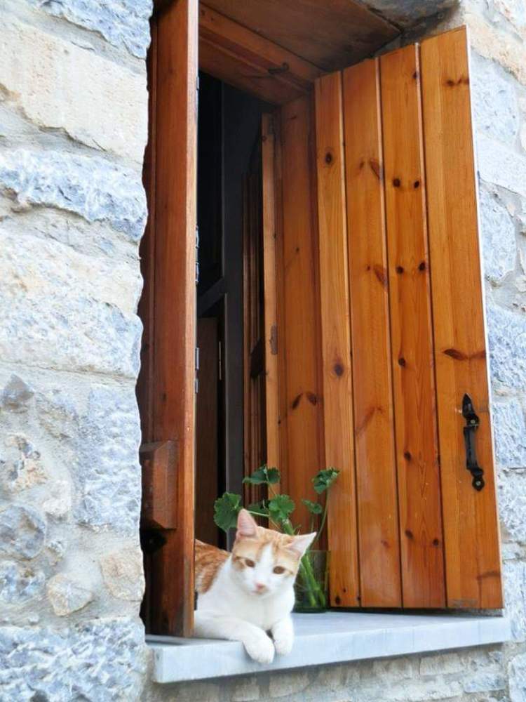 Photograph by Mónica Silva