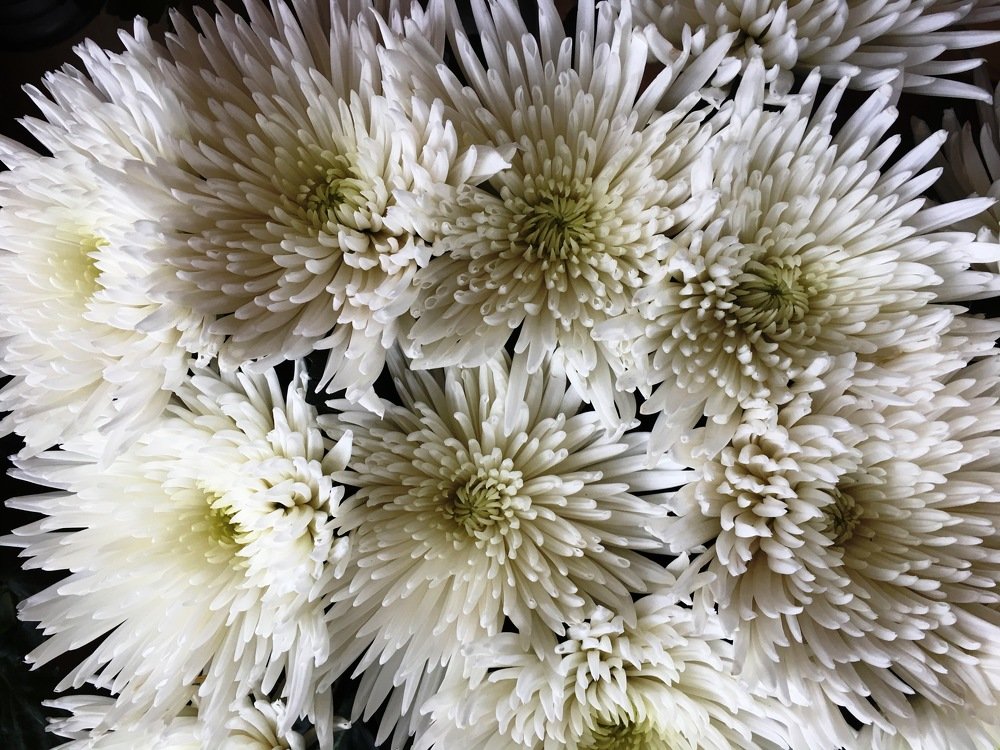 Photograph by Андрей Елькин