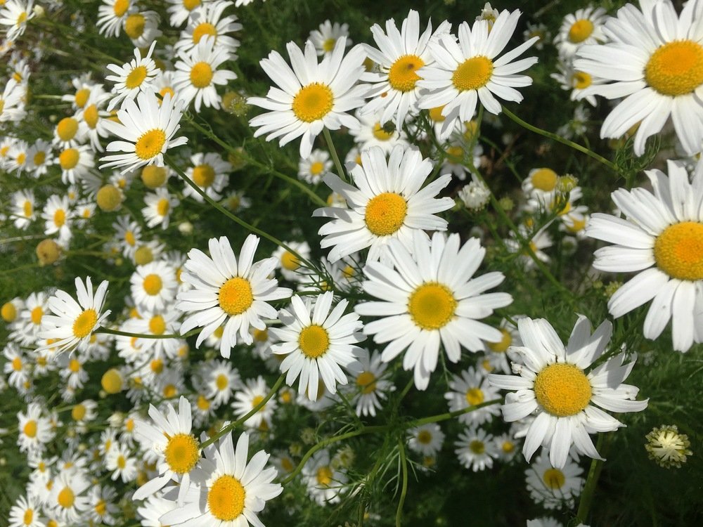 Photograph by Андрей Елькин