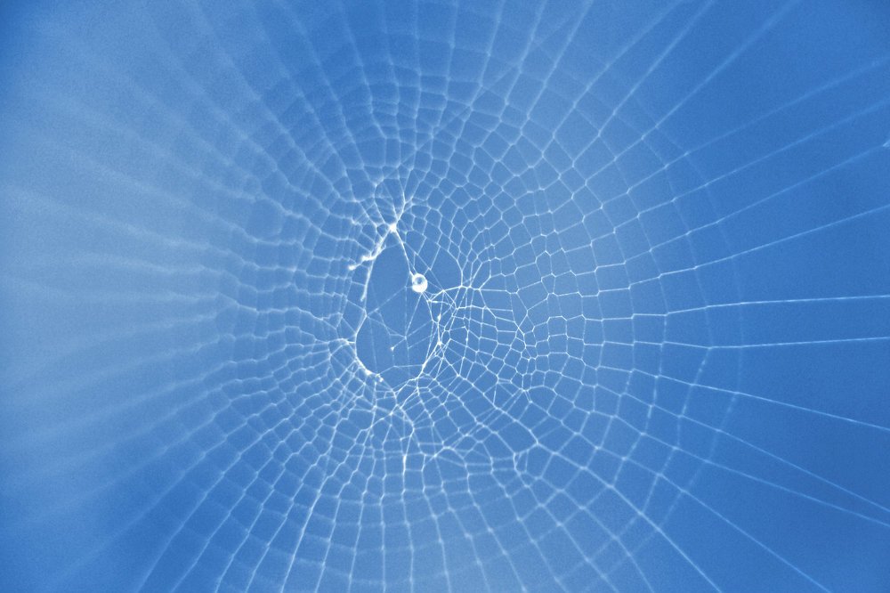 Photograph by Юрий Филицкий