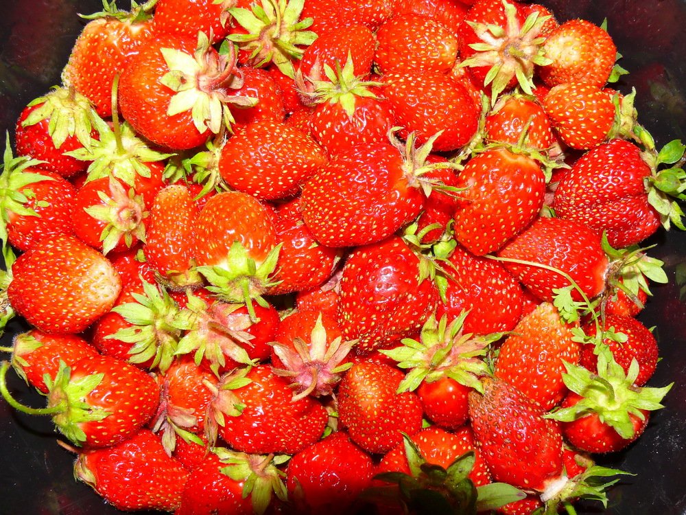 Фотография автора Анатолий Борисов