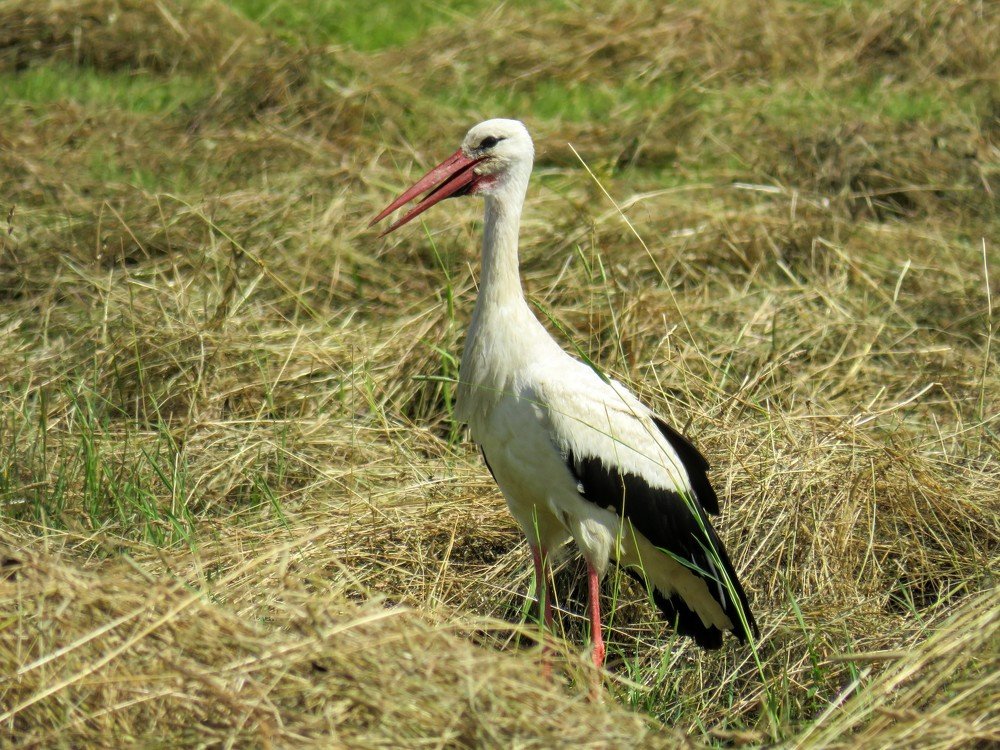 Photograph by ТАТЬЯНА КОНРАДИ