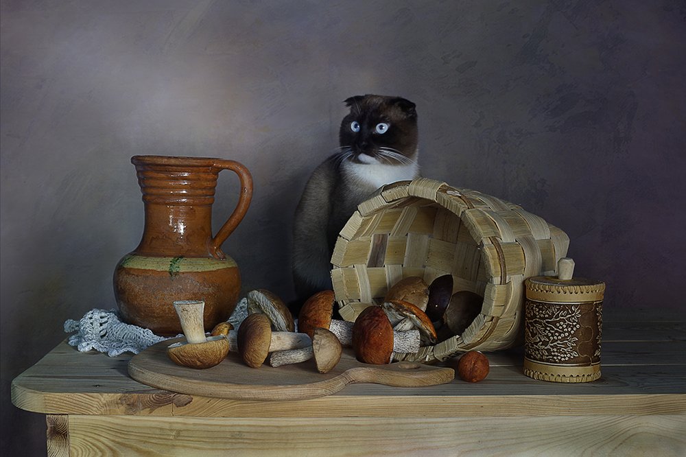 Photograph by Вера  Павлухина