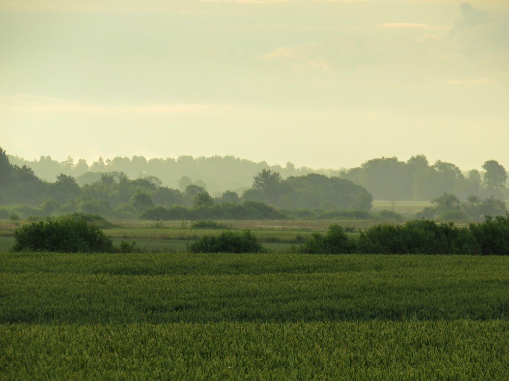 Photograph by ТАТЬЯНА КОНРАДИ
