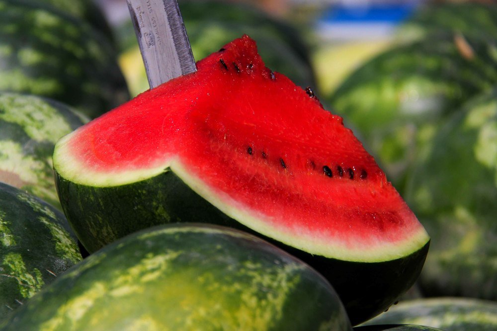 Photograph by mehdi yaghoobi