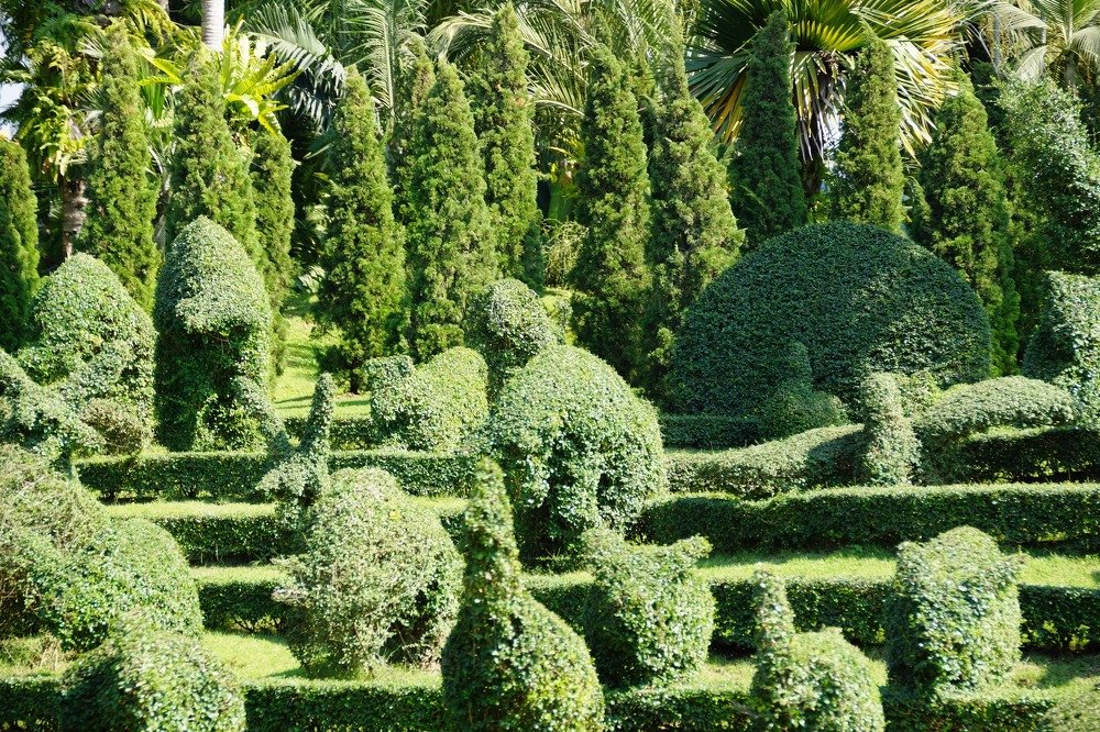 Photograph by Андрей Елькин