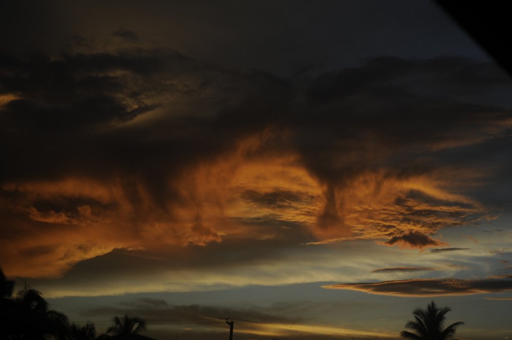 Photograph by Bryan Nobrega