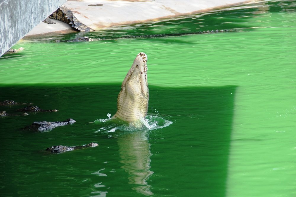 Photograph by Андрей Елькин