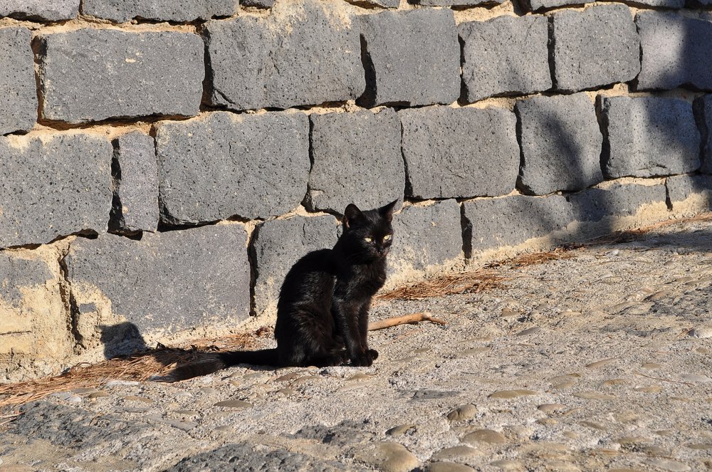 Photograph by Александр Миронов