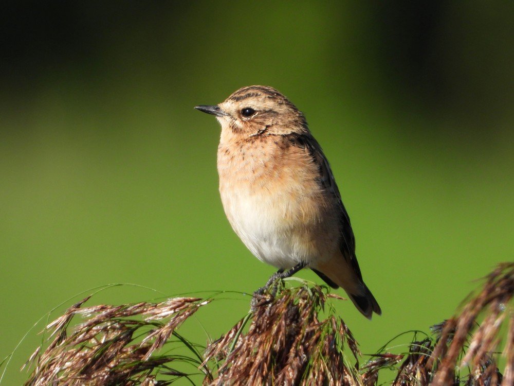 Photograph by ТАТЬЯНА КОНРАДИ