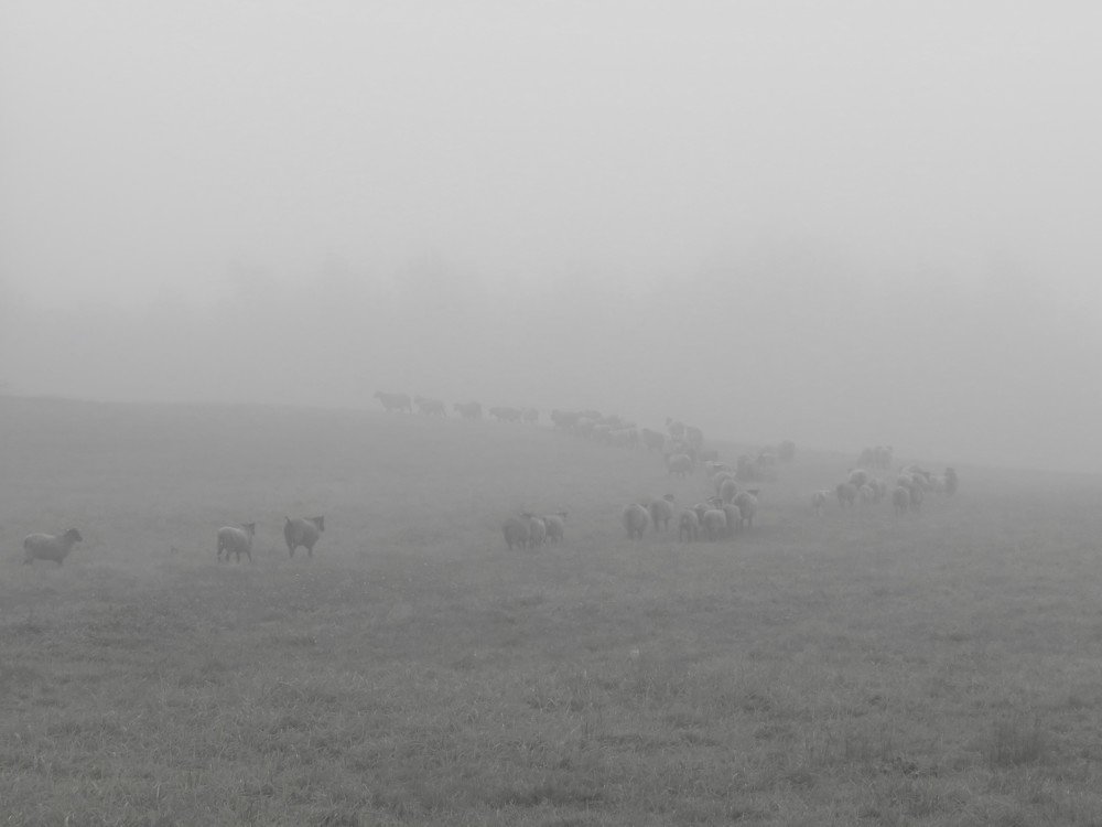 Photograph by ТАТЬЯНА КОНРАДИ