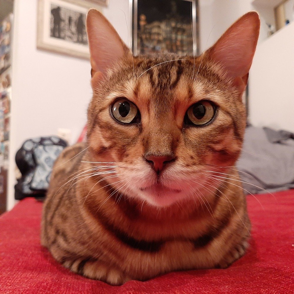 Photograph by Александр Миронов