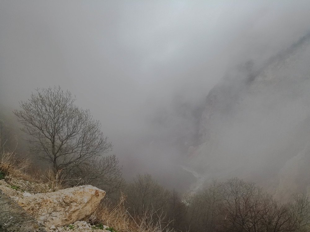 В объятьях тумана