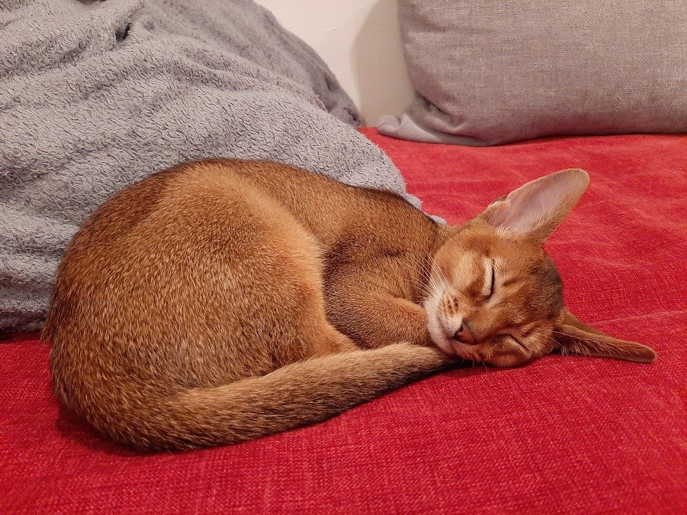 Photograph by Александр Миронов