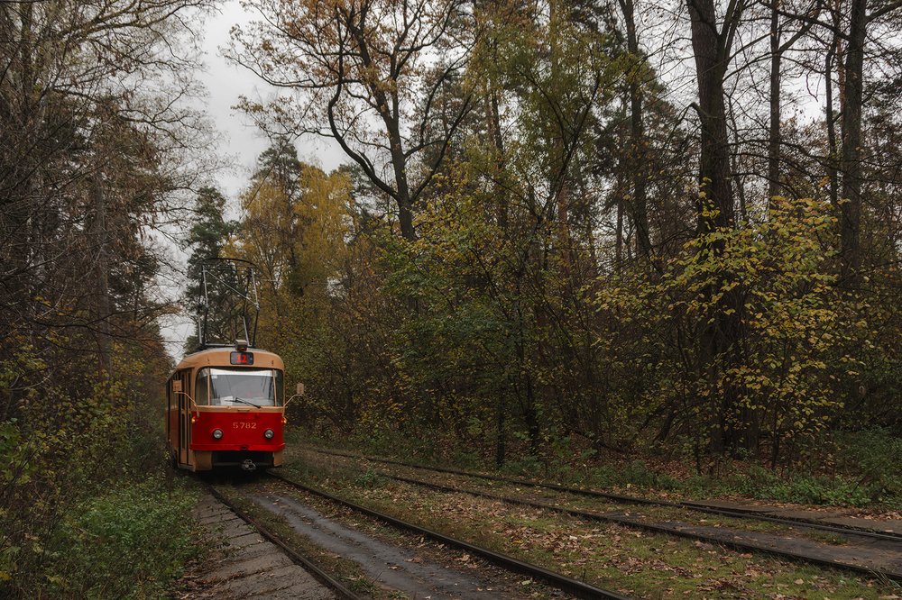 Photograph by Тофиг Рашидов