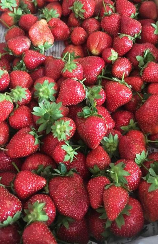 Photograph by Андрей Елькин