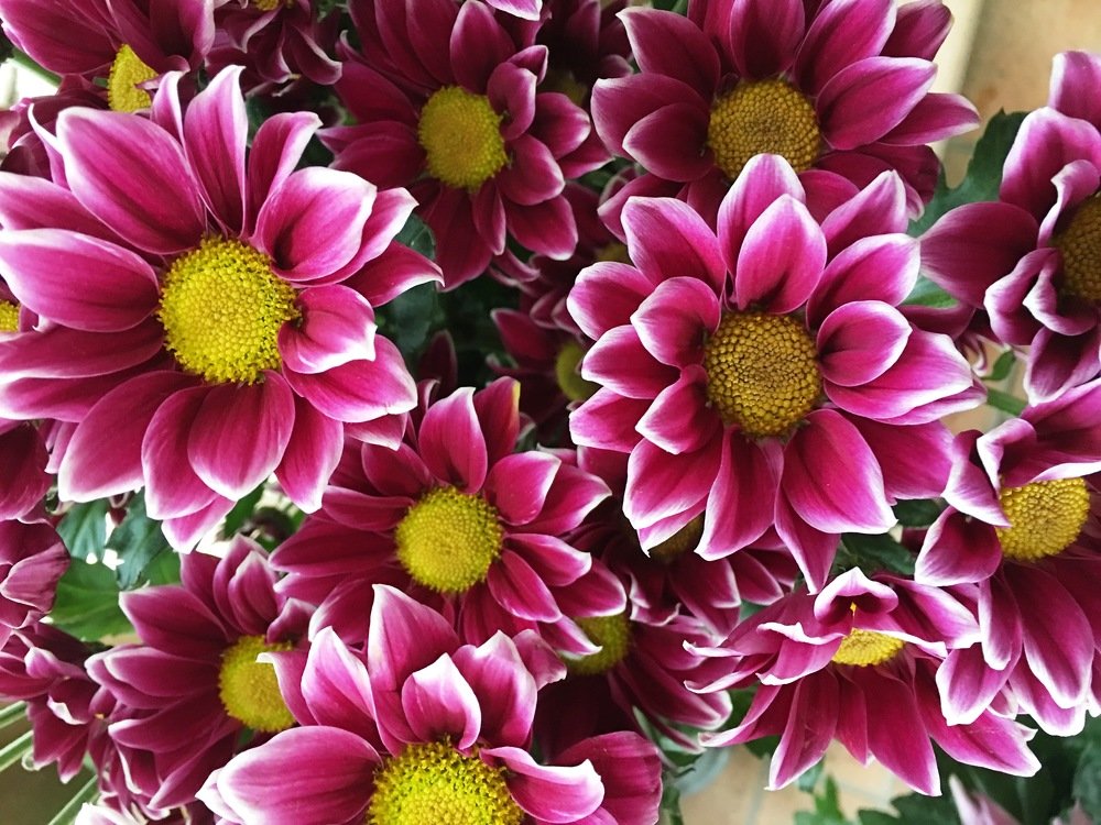 Photograph by Андрей Елькин