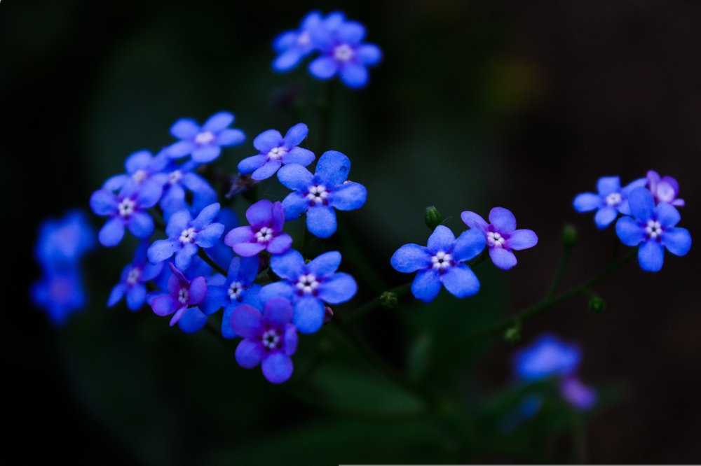 Photograph by Alena Rybakova