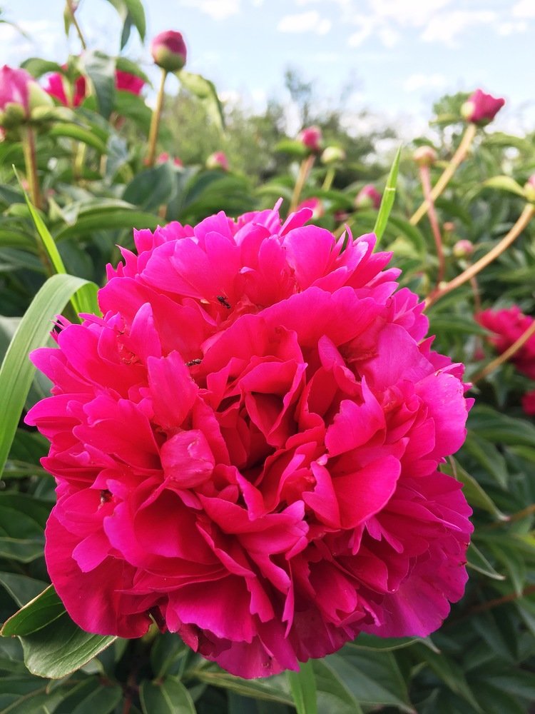 Photograph by Андрей Елькин