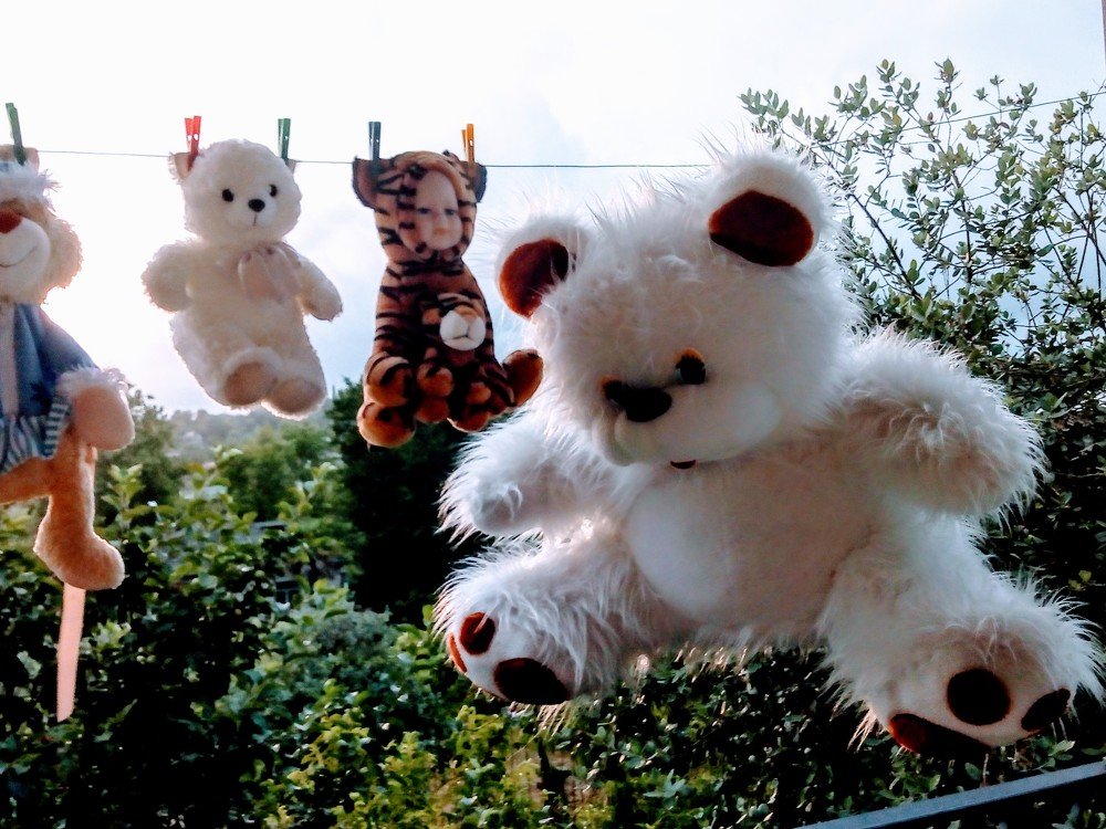 Photograph by Татьяна Пальчикова