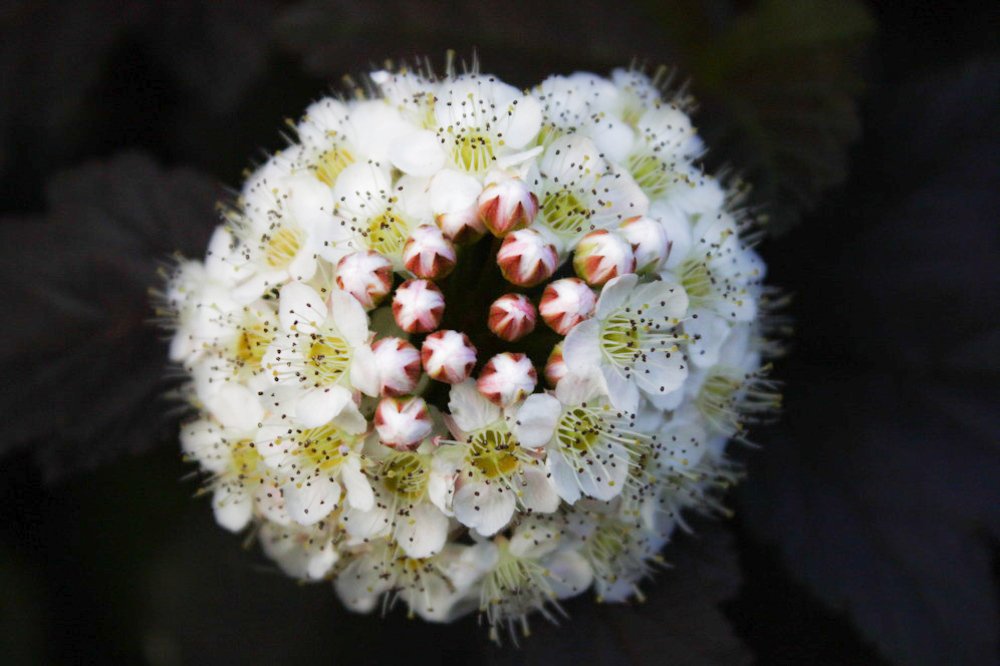 Photograph by Alena Rybakova