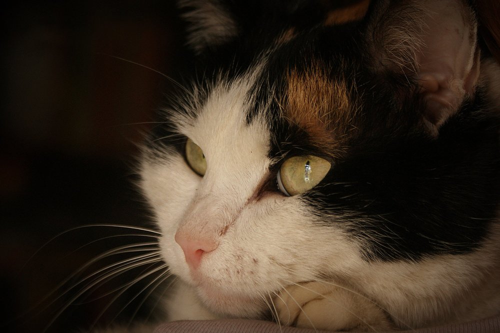 Photograph by Сергей Арямов