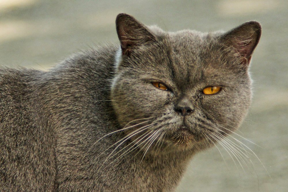 Photograph by Сергей Арямов