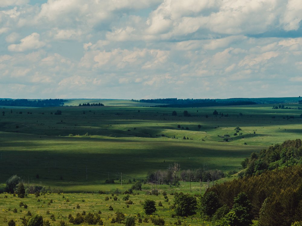 Photograph by Андрей Шингаркин