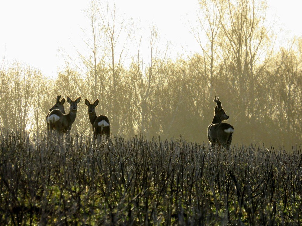 Photograph by ТАТЬЯНА КОНРАДИ