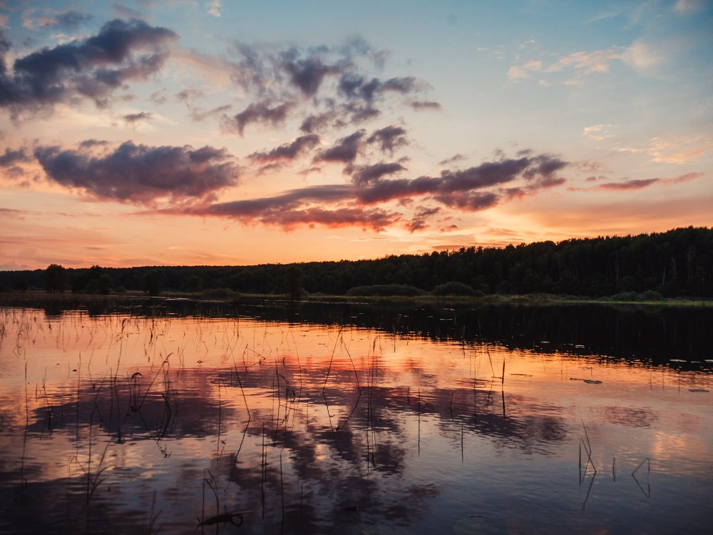 Photograph by Андрей Шингаркин