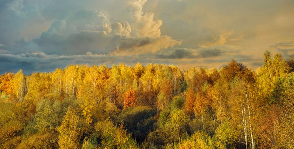 Photograph by Serguei Boukarev