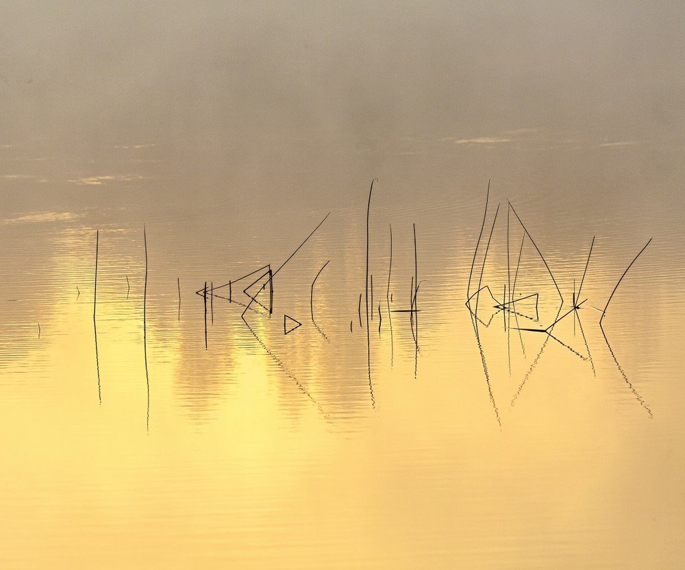 Photograph by Сергей Ключарёв