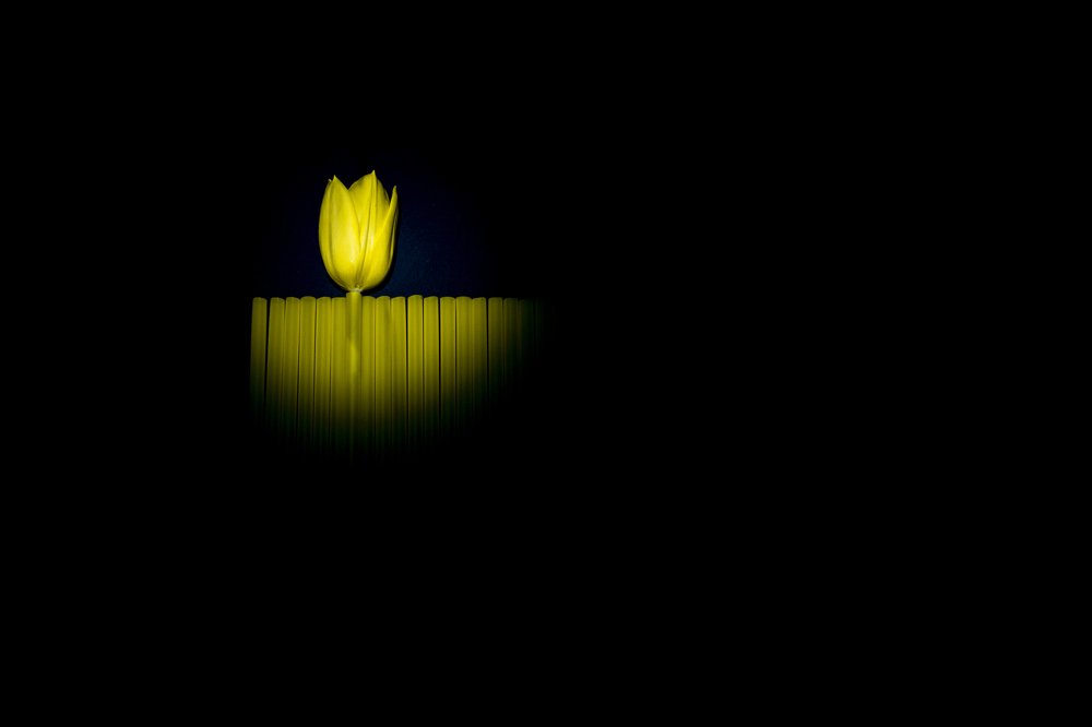 Фотография автора Fikriye Er