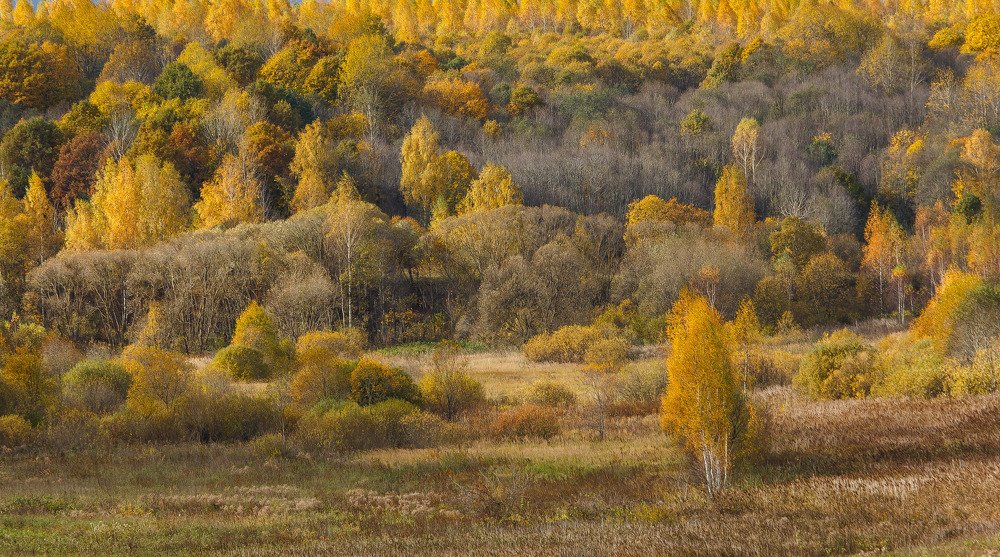 Photograph by Сергей Фомченков