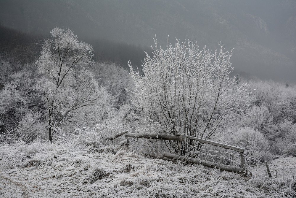 Фотография автора Олег Набровенков