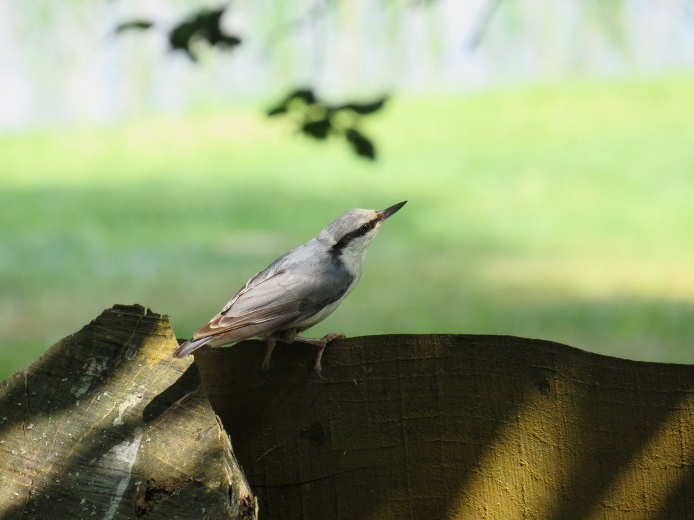 Photograph by ТАТЬЯНА КОНРАДИ