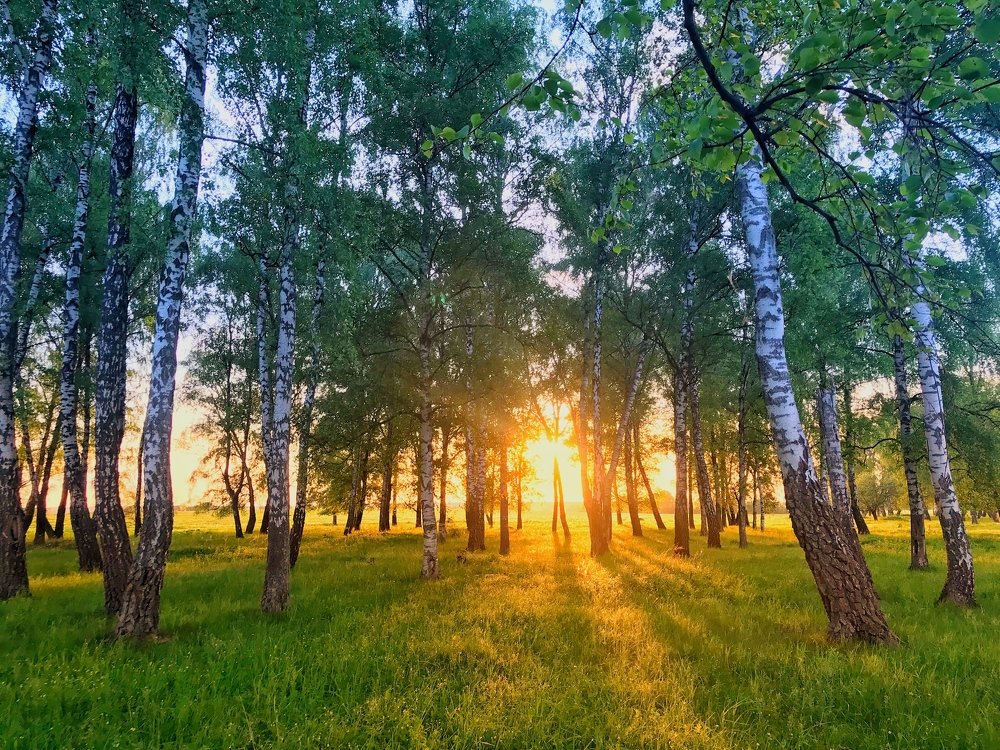 Photograph by Яна Лугинина