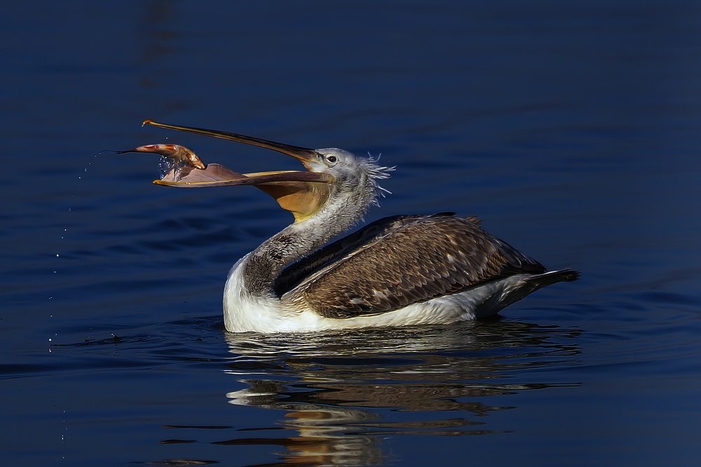 Photograph by Orhan Turhan