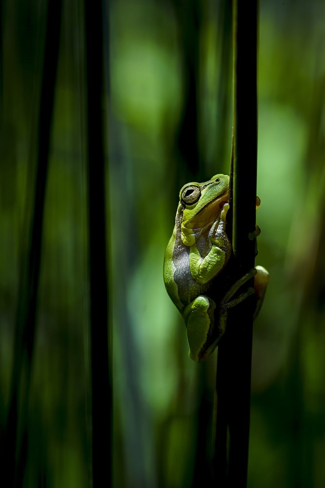 Photograph by Orhan Turhan