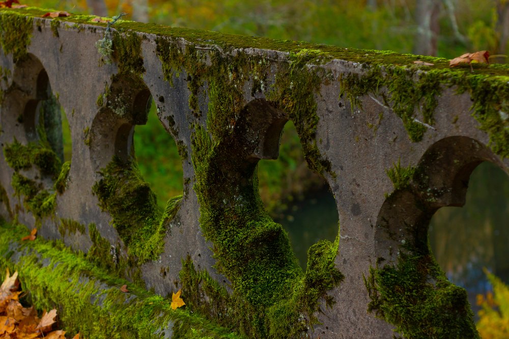 Photograph by Egor Bychkov