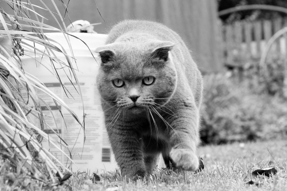 Photograph by Елена Копейкина