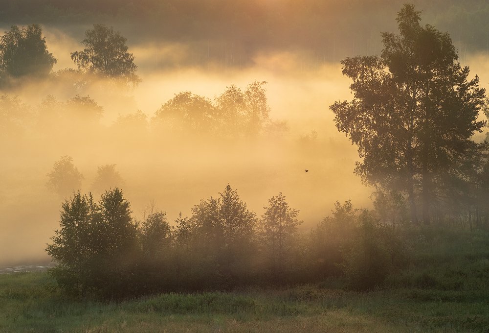 Photograph by Марина Брыдня