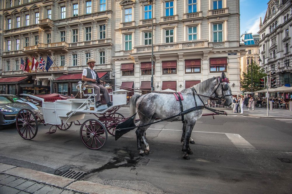 Photograph by Елена Каретина