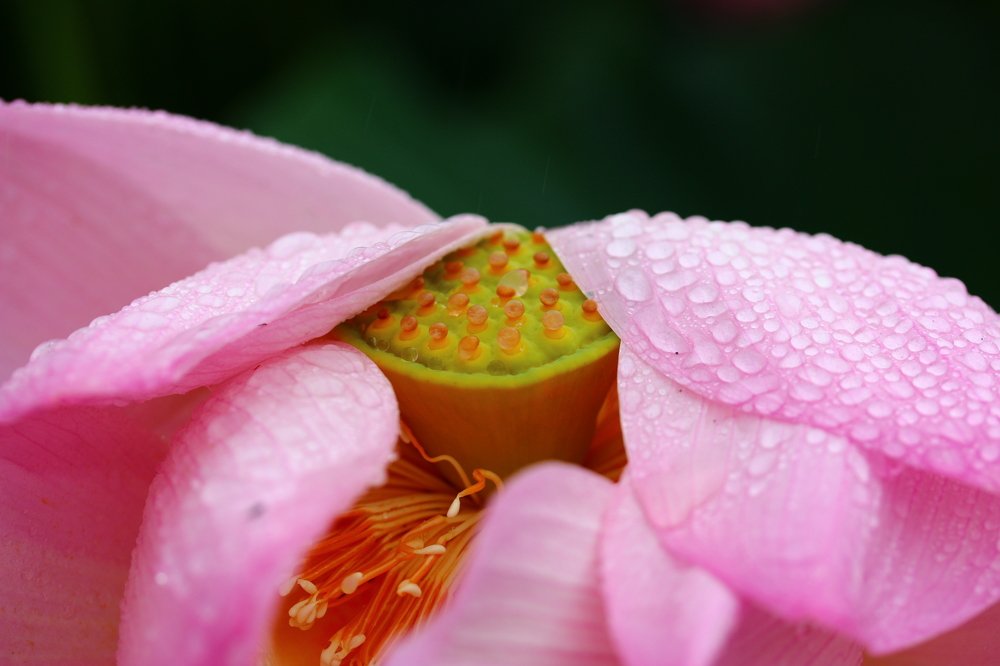 Photograph by Марго Ерёмина