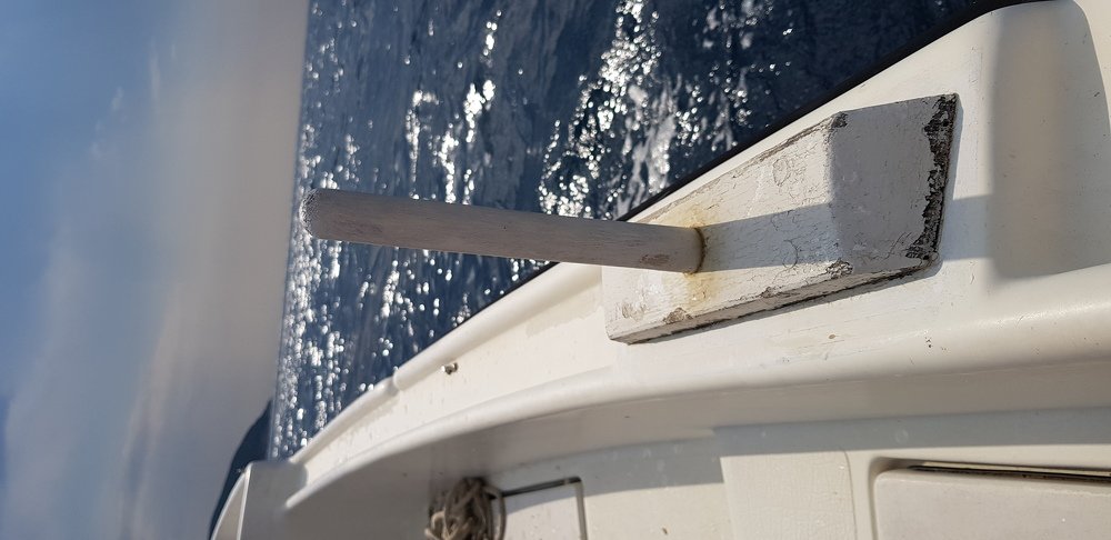 Фотография автора Ines Miljan Popovic