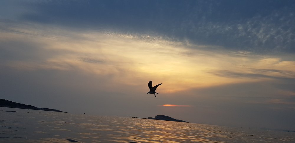 Фотография автора Ines Miljan Popovic