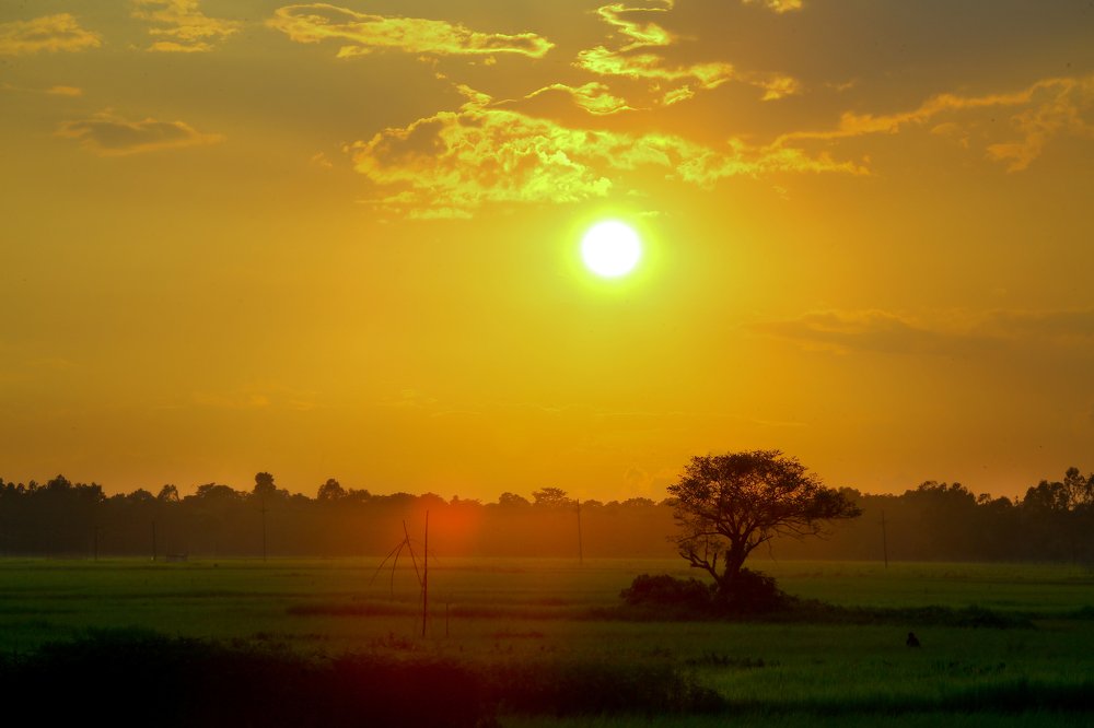 Photograph by SYED RAJEEB 